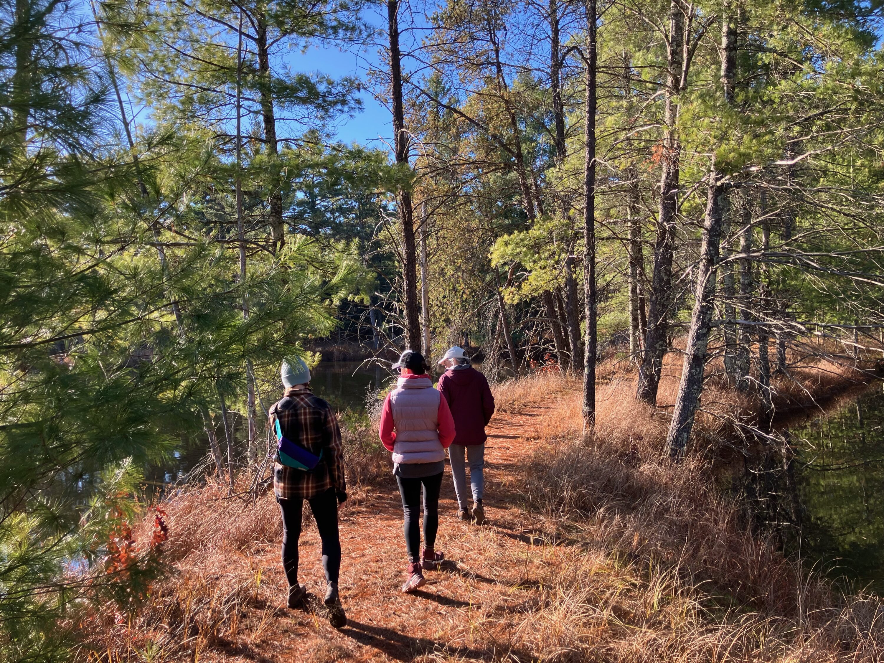 Three people hike on a wooded trail next to a body of water.